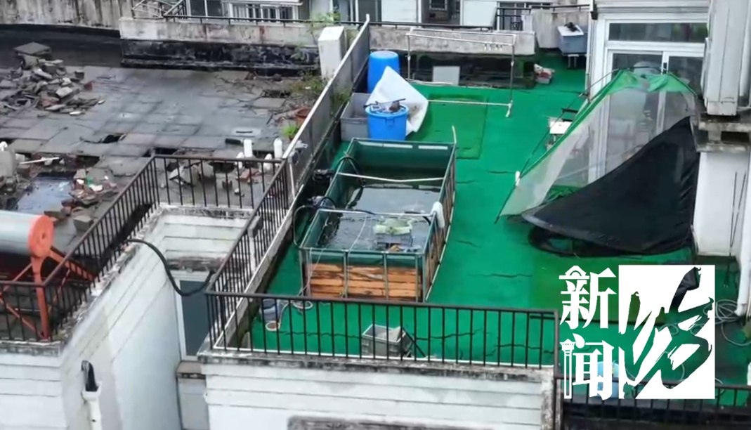 上海一居民楼顶惊现巨大鱼缸！近2.5吨！官方：没有法规可禁止...