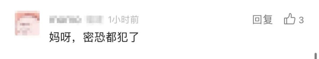 密恐犯了！外来物种入侵！这里的整个水系已被占据