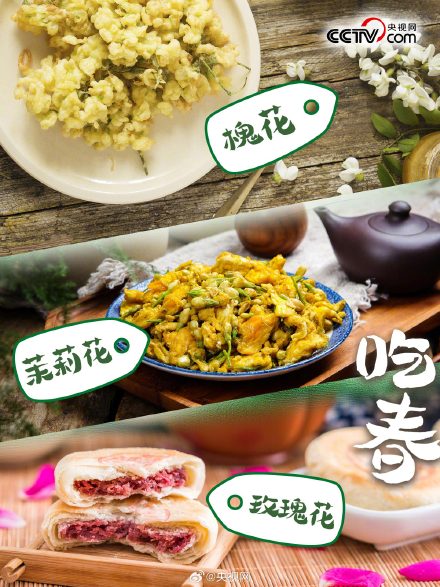 春天有哪些野菜可以吃？