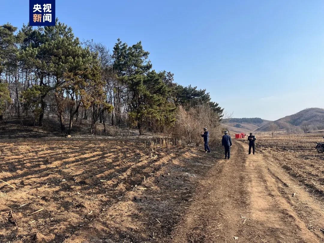 山火已扑灭,无人员伤亡!沈抚示范区最新通报! 山火已扑灭,无人员伤亡!沈抚示范区最新通报!