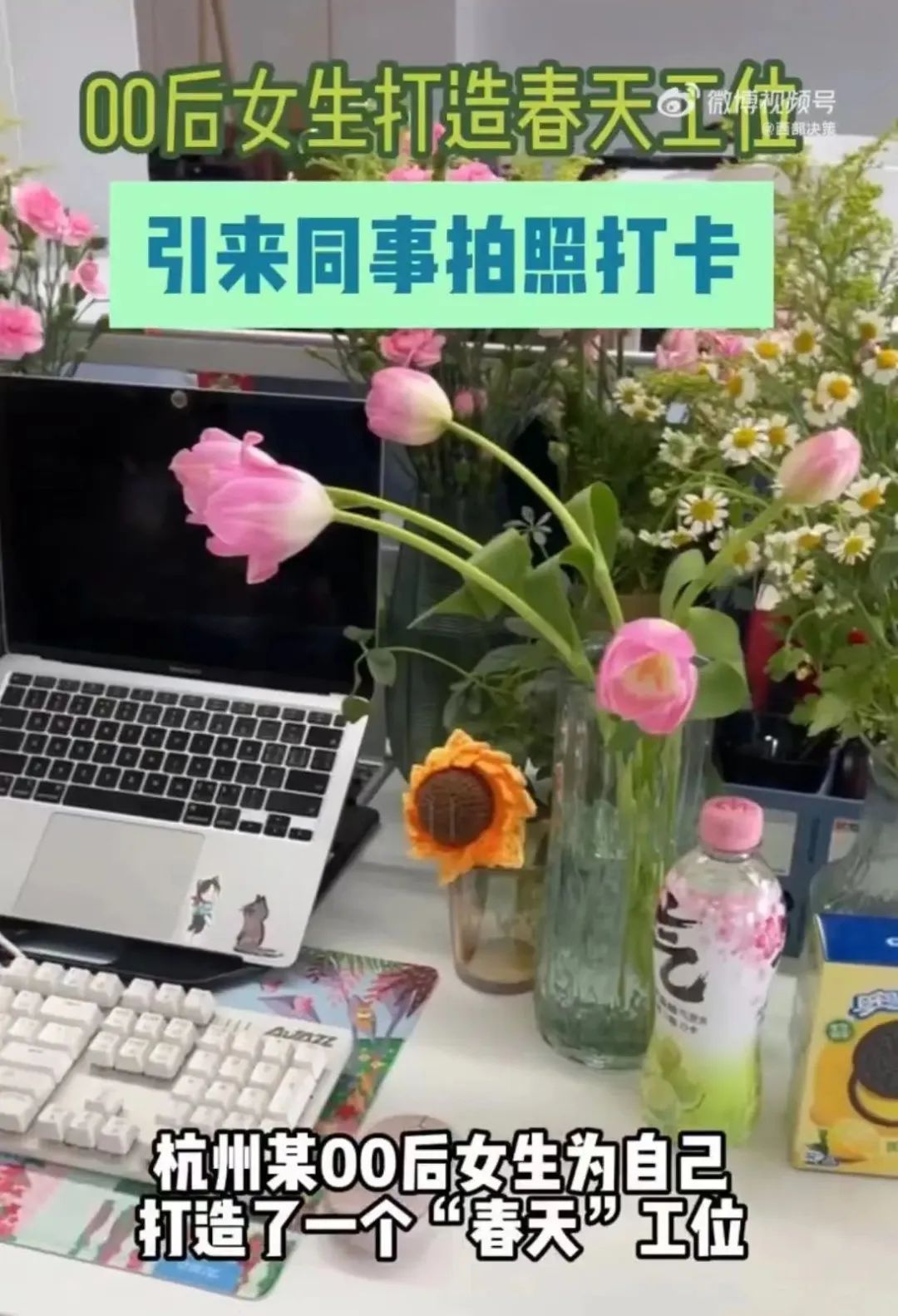 00后女生打造“春天工位”引围观！当代年轻人都在爆改工位，你是哪一种？