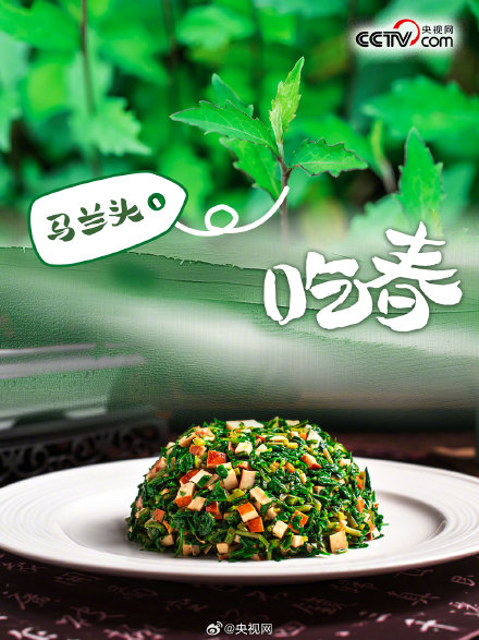 春天有哪些野菜可以吃？