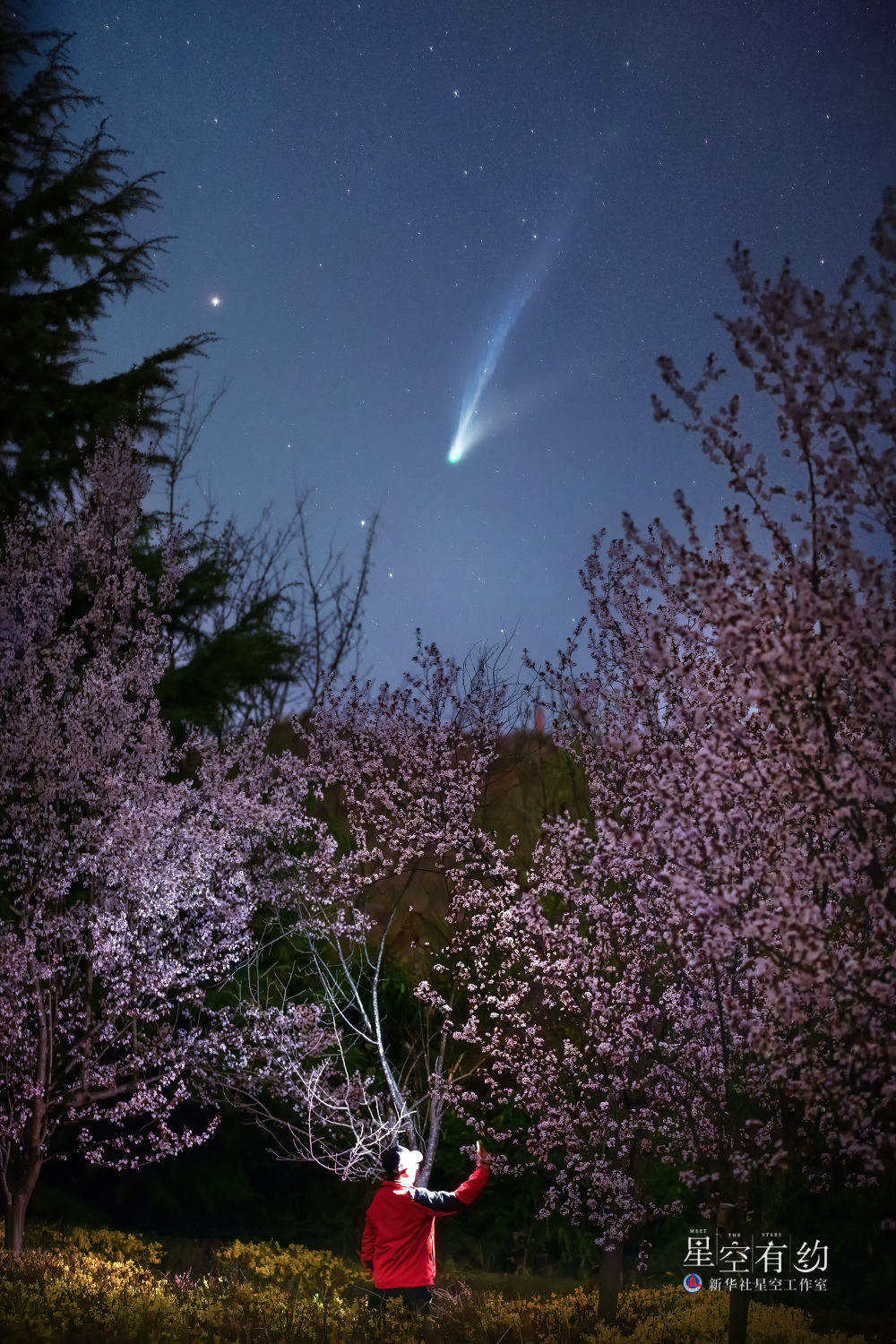 星空有约｜再赏“天外来客”，这两个时间点可把握