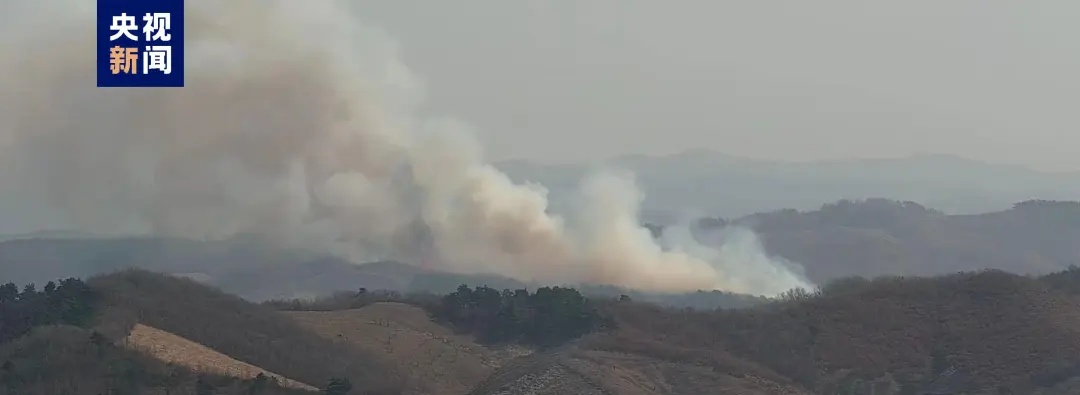 山火已扑灭,无人员伤亡!沈抚示范区最新通报! 山火已扑灭,无人员伤亡!沈抚示范区最新通报!