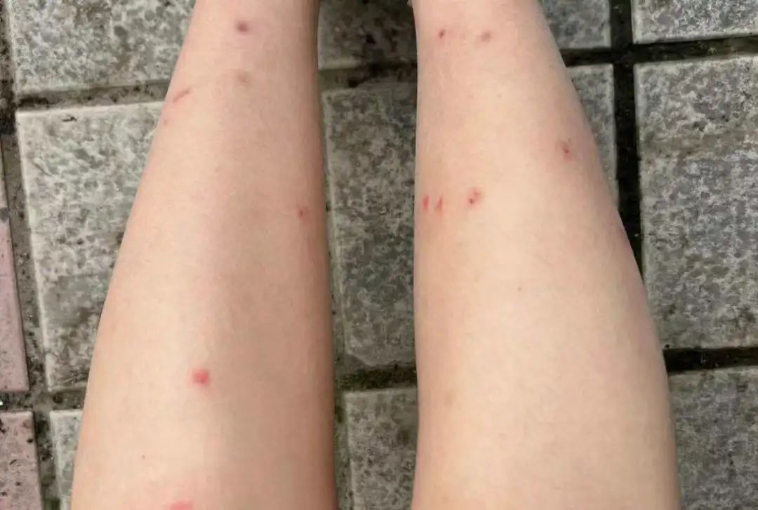 紧急提醒!绍兴人最近少穿黄、红色衣服出门 紧急提醒!绍兴人最近少穿黄、红色衣服出门