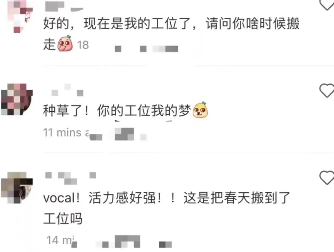 00后女生打造“春天工位”引围观！当代年轻人都在爆改工位，你是哪一种？