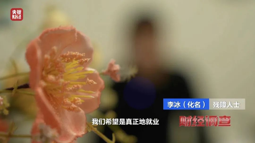 “残疾人就业”竟牵出黑产链！知名中介，明目张胆干违法生意？记者调查→