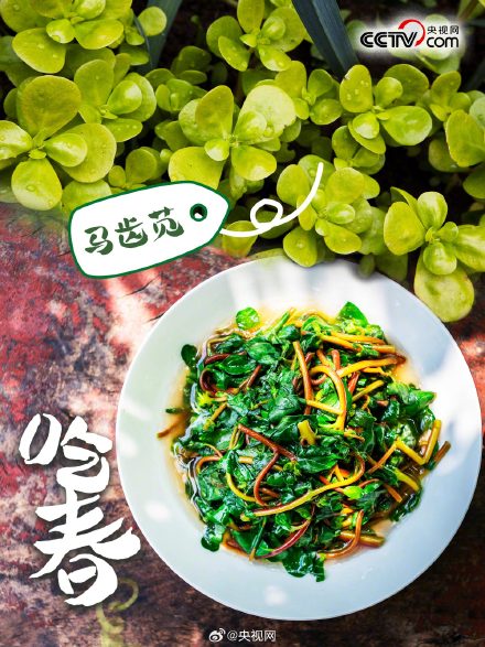 春天有哪些野菜可以吃？