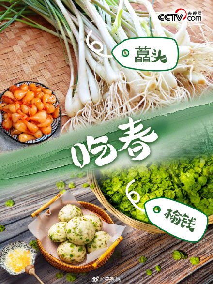 春天有哪些野菜可以吃？