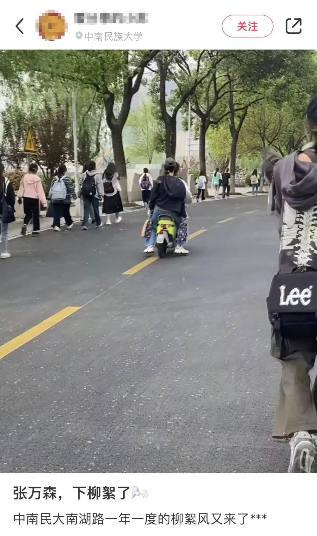 漫天飞絮来了！武汉疾控提醒