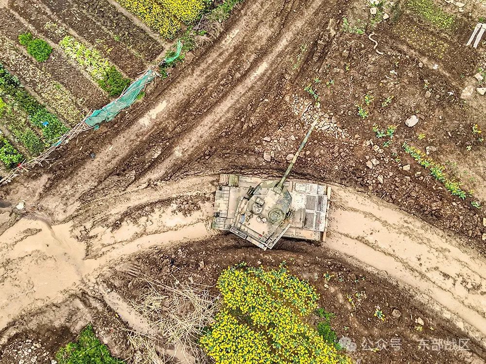 战场狂飙！“钢铁猛虎”荒野出击