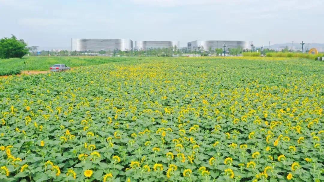 成都市龙泉驿区给农业现代化插上科技翅膀