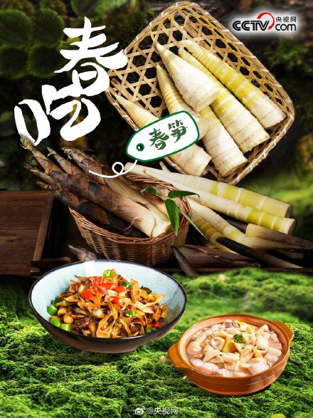 春天有哪些野菜可以吃？