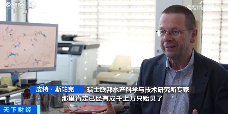 密恐犯了！外来物种入侵！这里的整个水系已被占据