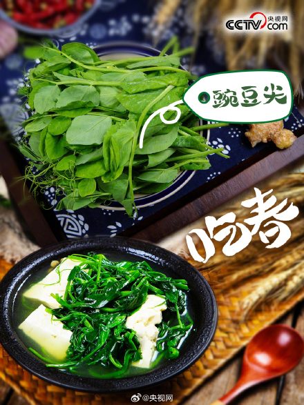 春天有哪些野菜可以吃？