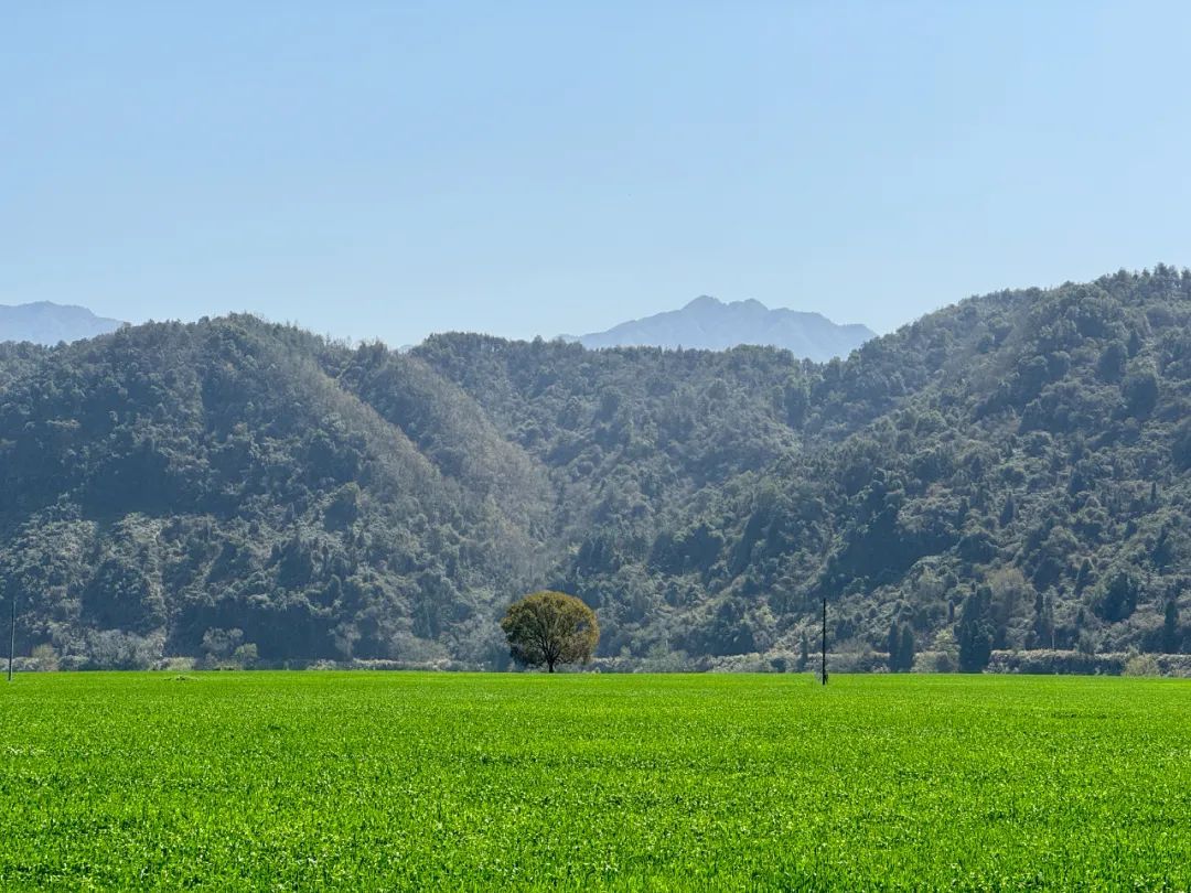 紧急提醒!绍兴人最近少穿黄、红色衣服出门 紧急提醒!绍兴人最近少穿黄、红色衣服出门