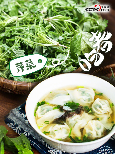 春天有哪些野菜可以吃？