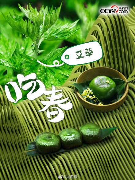 春天有哪些野菜可以吃？