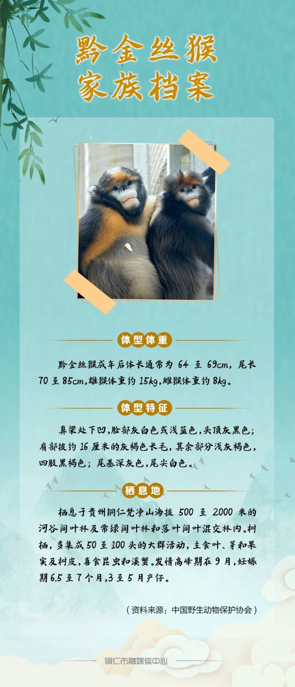 萌翻了！ 快来为这位“小公举”取名