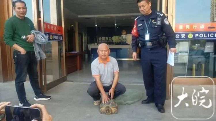 街头捡到一只大龟!“千万别放生” 街头捡到一只大龟!“千万别放生”