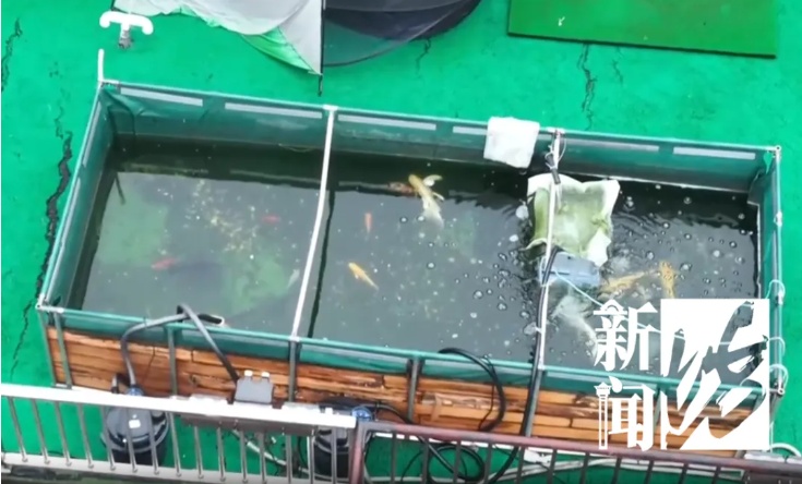 上海一居民楼顶惊现巨大鱼缸！近2.5吨！城管：没法规可禁止...最新通报→