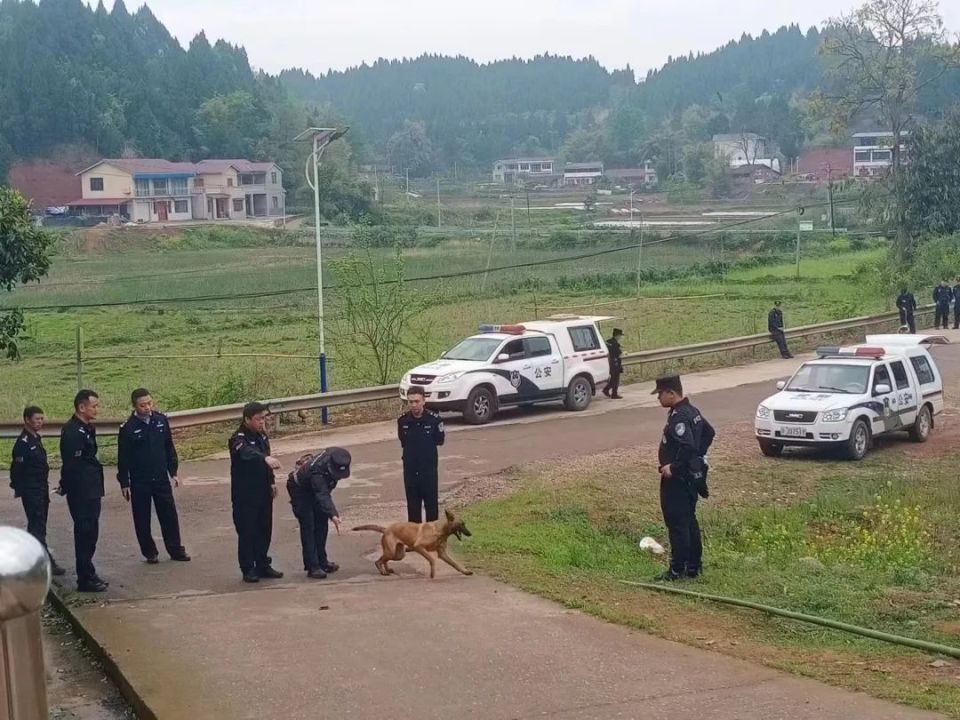 四川警方3天破获男子杀妻抛尸案，这群不说话的战友立下大功！