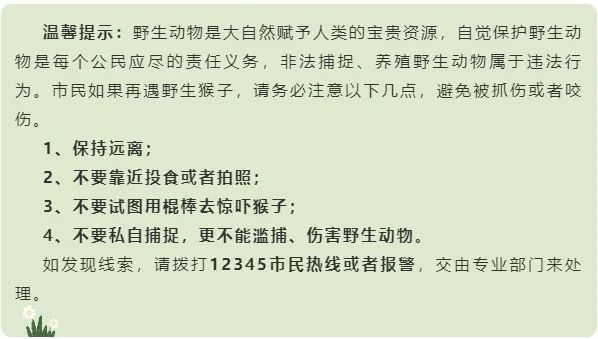野猴进村试图抓走婴儿！村中已有6名小孩受伤！海南官方紧急提醒