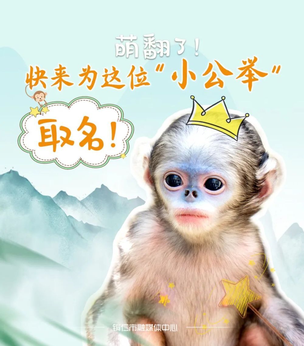 萌翻了！ 快来为这位“小公举”取名