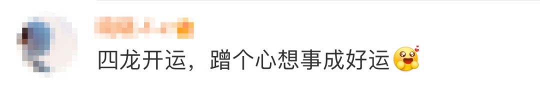 哇,首个四龙“聚会”! 哇,首个四龙“聚会”!