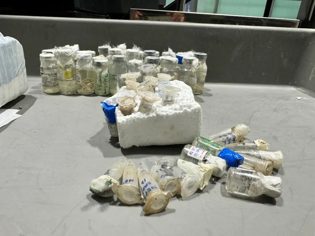 慎点，头皮发麻！大兴海关查获57瓶寄生虫，旅客：用于实验”