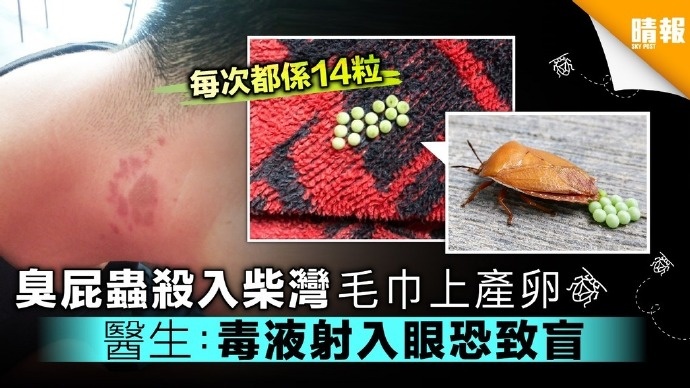 头皮发麻！最近，很多深圳人衣服上都有……