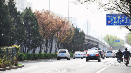 春花与飞絮同框是种什么体验