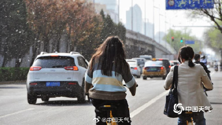 春花与飞絮同框是种什么体验