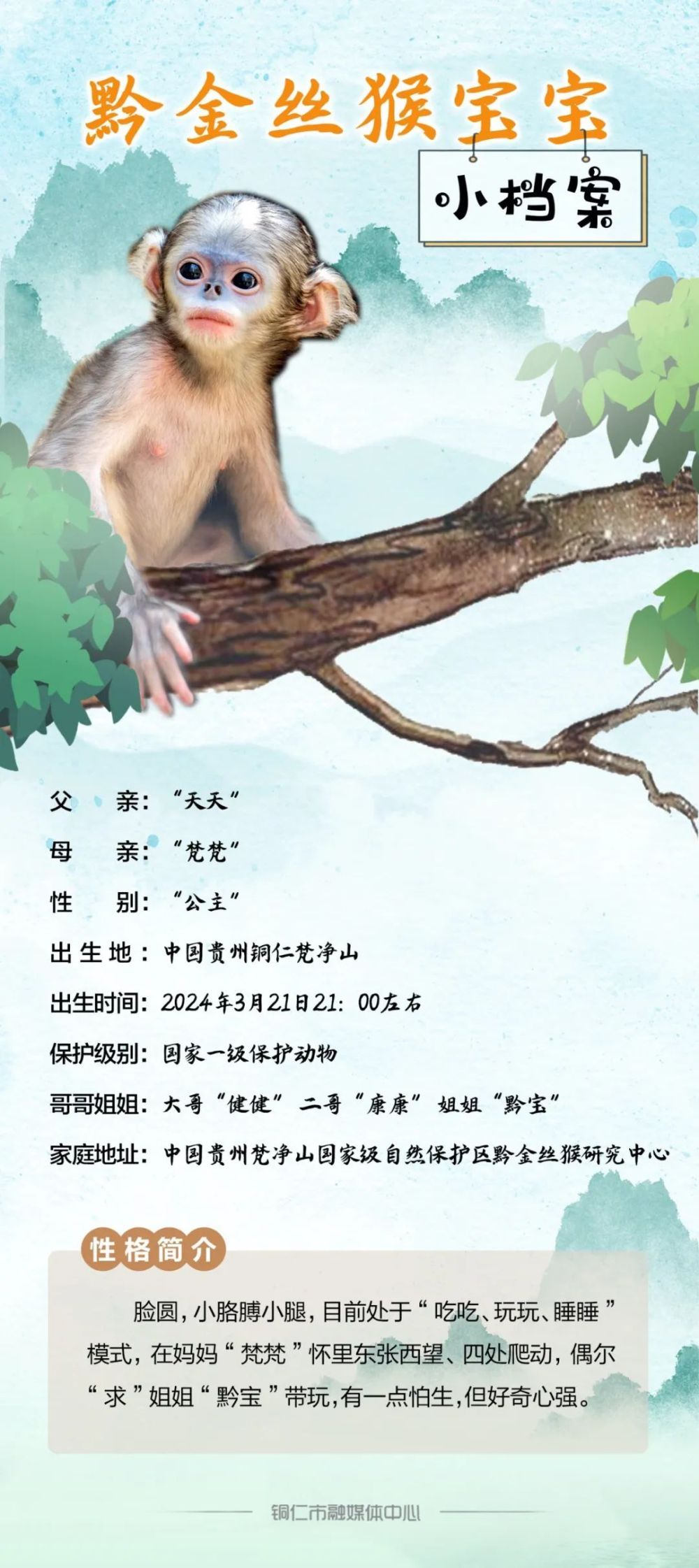 萌翻了！ 快来为这位“小公举”取名