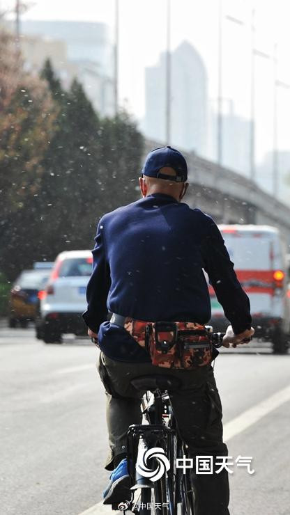 春花与飞絮同框是种什么体验