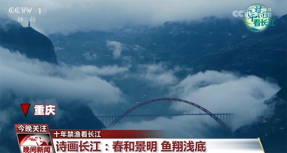 十年禁渔看长江｜从水域之治转向生态之治 长江大保护仍需久久为功