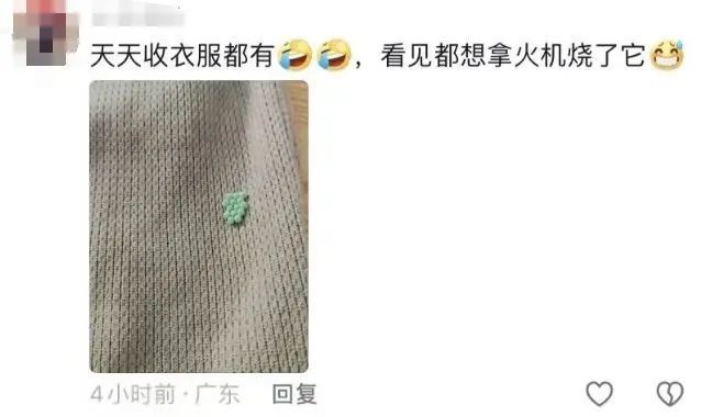 头皮发麻！最近很多广东人衣服上有虫卵
