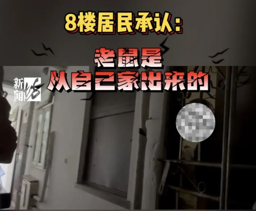 谁能忍！沪一居民楼成“老鼠乐园”，住户却只能屡屡恳求...