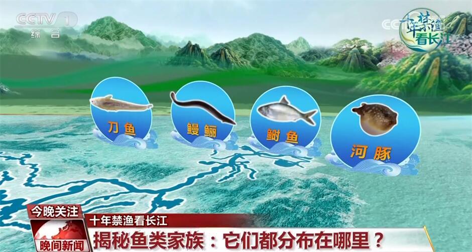 十年禁渔看长江｜从水域之治转向生态之治 长江大保护仍需久久为功