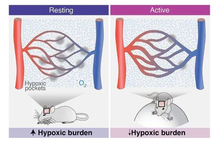 久坐和经常运动的人有什么差别?原来运动是对健康最好的投资! 久坐和经常运动的人有什么差别?原来运动是对健康最好的投资!