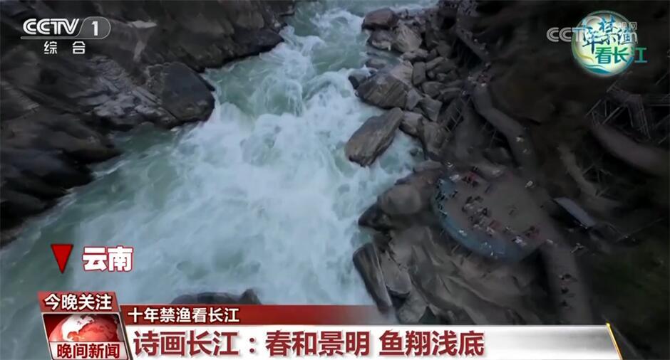 十年禁渔看长江｜从水域之治转向生态之治 长江大保护仍需久久为功