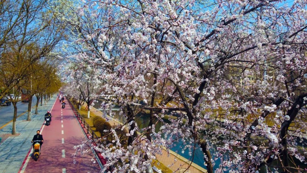 就在今天！沈阳正式进入……跟往年相比有所提前！