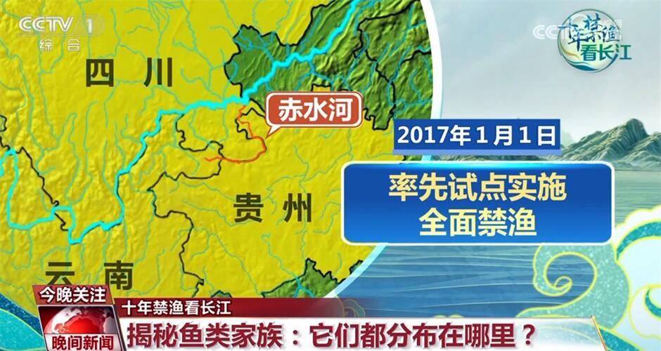 十年禁渔看长江｜从水域之治转向生态之治 长江大保护仍需久久为功