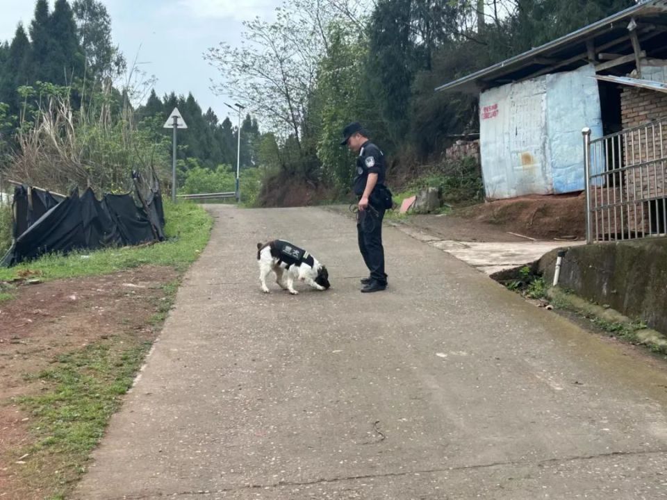 四川警方3天破获男子杀妻抛尸案，这群不说话的战友立下大功！