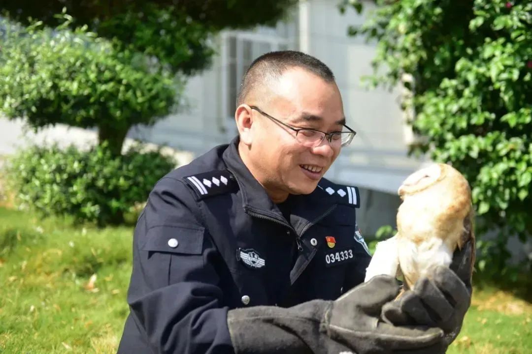 可可爱爱！云南警局里的小动物快挤不下了...