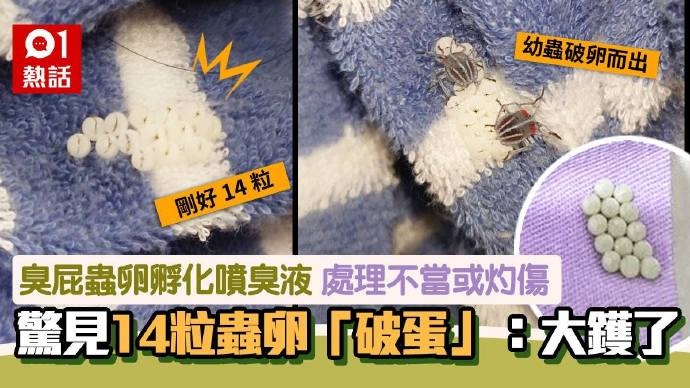 头皮发麻！最近，很多深圳人衣服上都有……