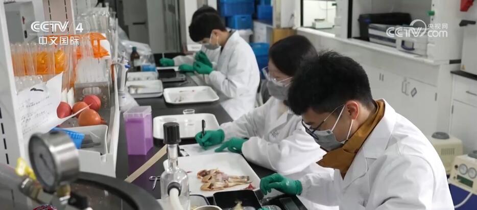 多领域实干前行呈现良好势头 中国经济回升向好态势增强