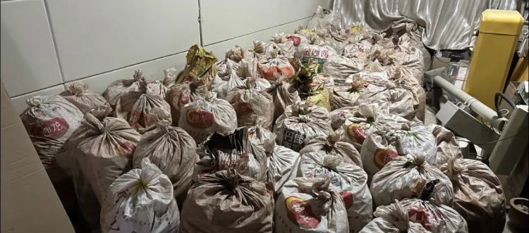 延安警方:盗掘“龙骨”3.5吨!4人刑拘! 延安警方:盗掘“龙骨”3.5吨!4人刑拘!