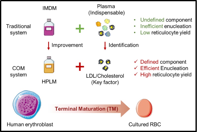 中国科大团队重磅成果发布! 中国科大团队重磅成果发布!