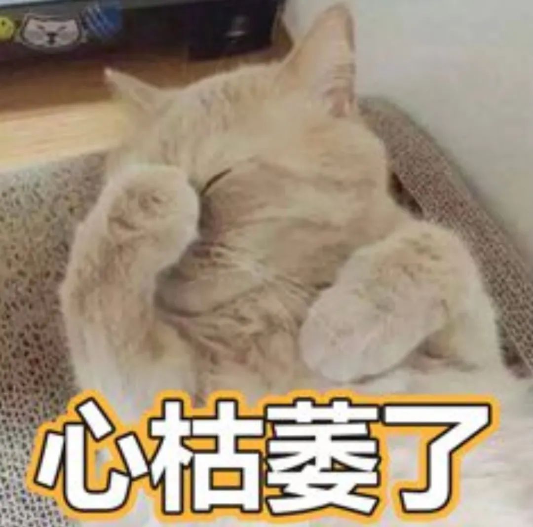 “帮你退税”“专业退税”……还有这种好事？专家提醒：警惕碰到“李鬼”